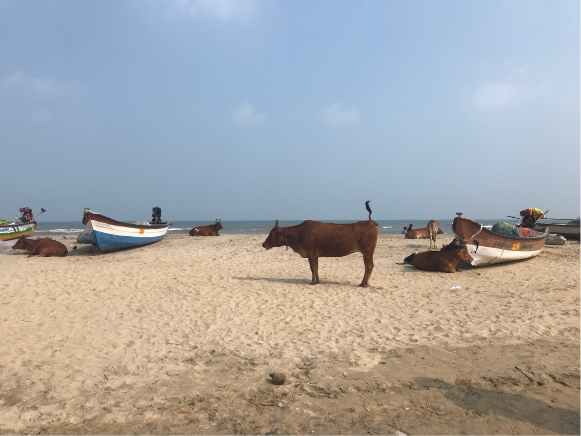 インドの安全性・治安状況について