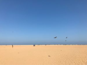 インド・チェンナイへ行く前にチェックすべき見どころ9選