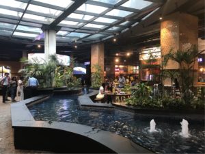 デリー空港でおススメのホテル・レストランがあるAerocity