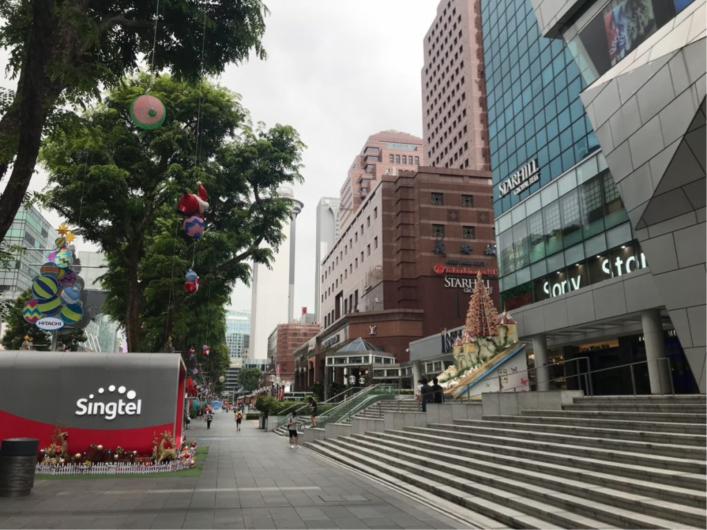 インド在住者がシンガポールへ買い出しに行く時に必要な情報まとめ