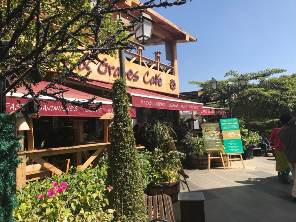 バンガロールとデリーの物価・生活情報まとめ　しょーじさん