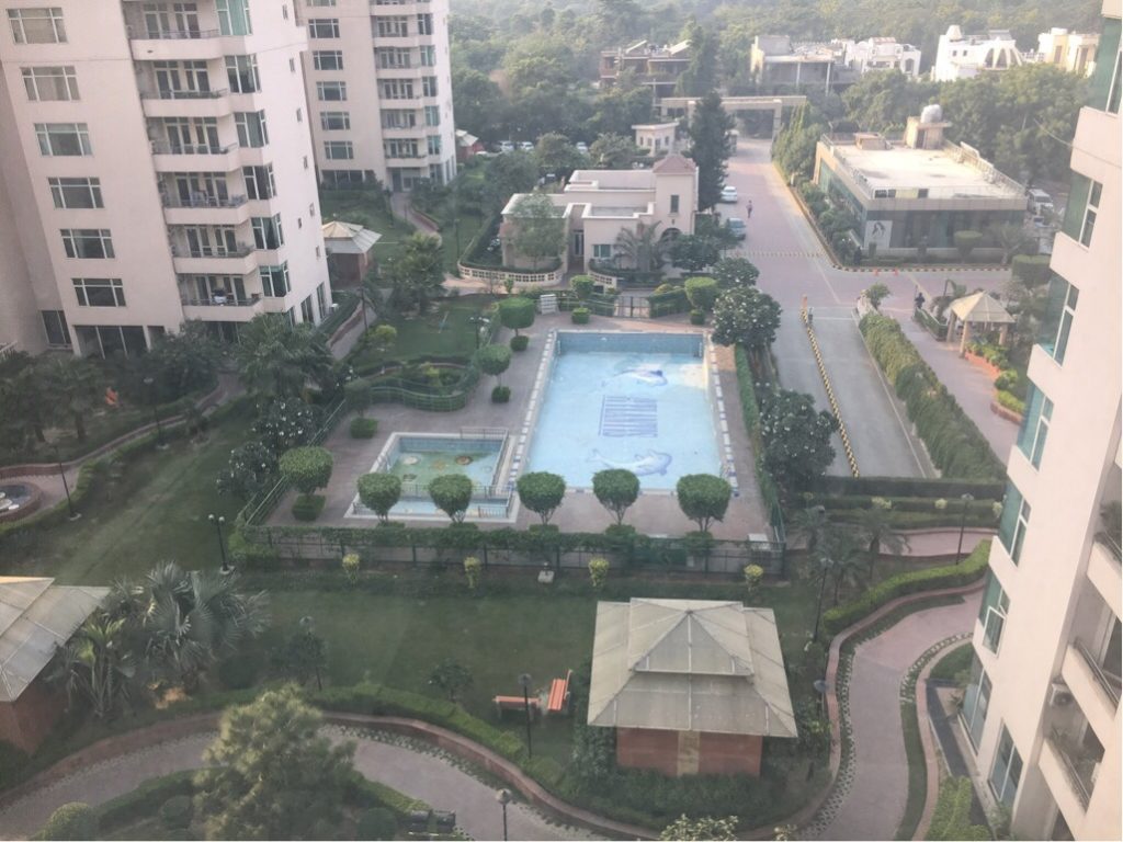 「第２新卒でインドへ転職し、１年半で急成長」20代女性・柿ピーさん