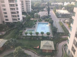 「第２新卒でインドへ転職し、１年半で急成長」20代女性・柿ピーさん