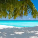 シニア世代・中高年が海外就職で成功するポイント【50代・60代必見】